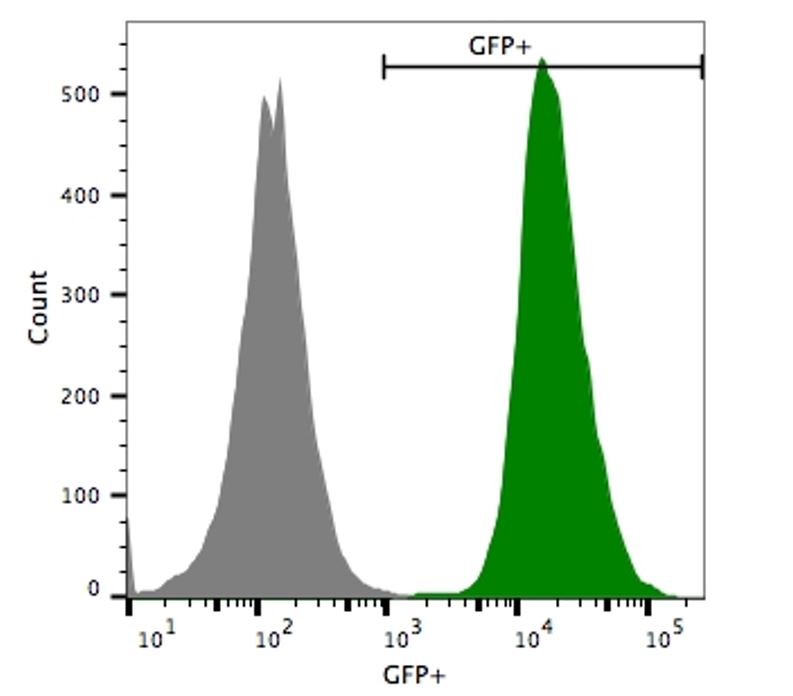 F Expression Imanis Life Sciences United States