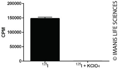 HCT116-hNIS-Neo/Fluc-Puro NIS Expression