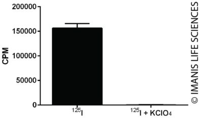 A549-hNIS-Neo/eGFP-Puro NIS Expression