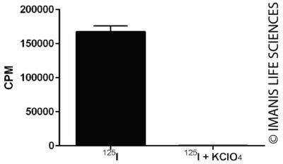 HCT116-hNIS-Neo/eGFP-Puro NIS Expression