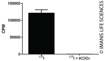 4T1-mNIS-Puro/Fluc-Neo NIS Expression