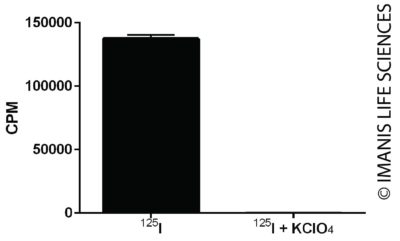 A375-Fluc-Neo/hNIS-Puro NIS Expression