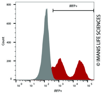 CT26.WT-Fluc-Neo/iRFP-Puro iRFP Expression