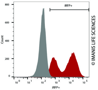 CT26.WT-iRFP-Neo/mNIS-Puro iRFP Expression