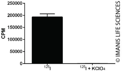 HCT116-hNIS-Neo/iRFP-Puro NIS Expression