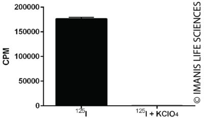 HT1080-hNIS-Neo/eGFP-Puro NIS Expression