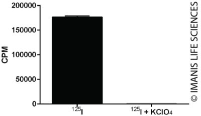 HT1080-hNIS-Neo/iRFP-Puro NIS Expression