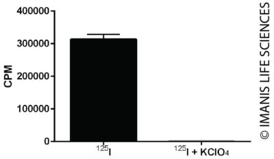 B16F10-mNIS (monoclonal) NIS Expression