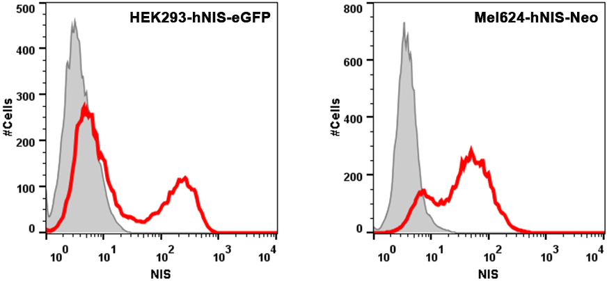 Flow Cytometry Anti-Human NIS VJ1