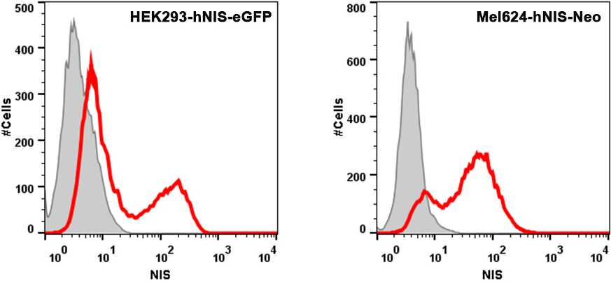 Flow Cytometry Anti-human NIS VJ2