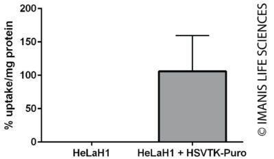 pLV-SFFV-HSVTK-PGK-Puro HKE Expression