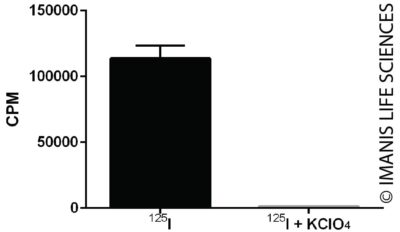 4T1-mNIS (monoclonal) NIS Expression