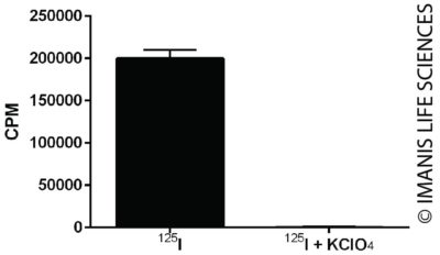 LV-human NIS-P2A-Puro NIS Expression