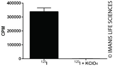 LV-CAG-human NIS-P2A-Puro NIS Expression