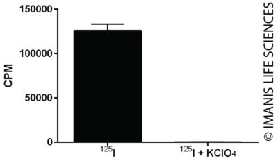 LV-mouse NIS-P2A-Neo NIS Expression