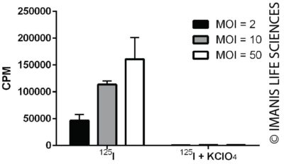 LV-iRFP-P2A-human NIS Expression