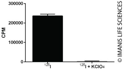 4T1-mNIS-Neo/iRFP-Puro NIS Expression