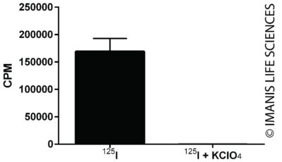 pLV-SFFV-human NIS-P2A-eGFP-T2A-Luc2 NIS Expression