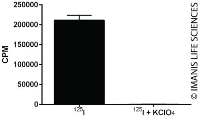 pLV-SFFV-eGFP-P2A-human NIS Expression