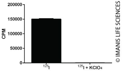 CT26.WT-iRFP-Neo/mNIS-Puro NIS Expression