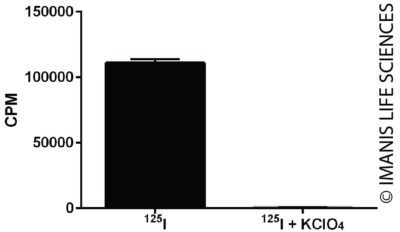 CT26.WT-mNIS-Neo/eGFP-Puro NIS Expression