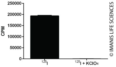 pLV-SFFV-dog NIS-PGK-Puro NIS Expression