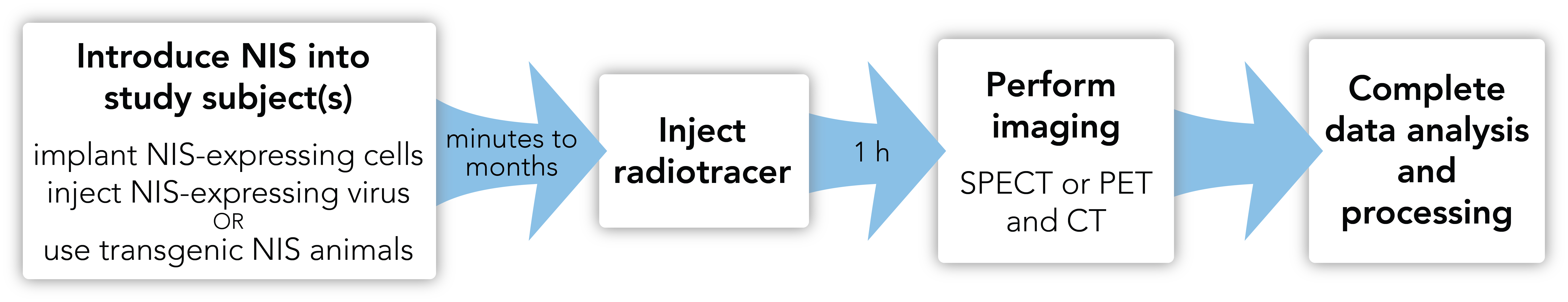 Sodium Iodide Symporter Workflow