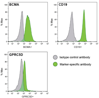 Receptor profiling graphs for Raji-fluc-puro