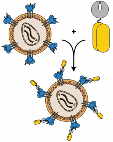 Molecular particles combining in blue and orange visualization, representing particle fusion or molecular interaction in biotech research.
