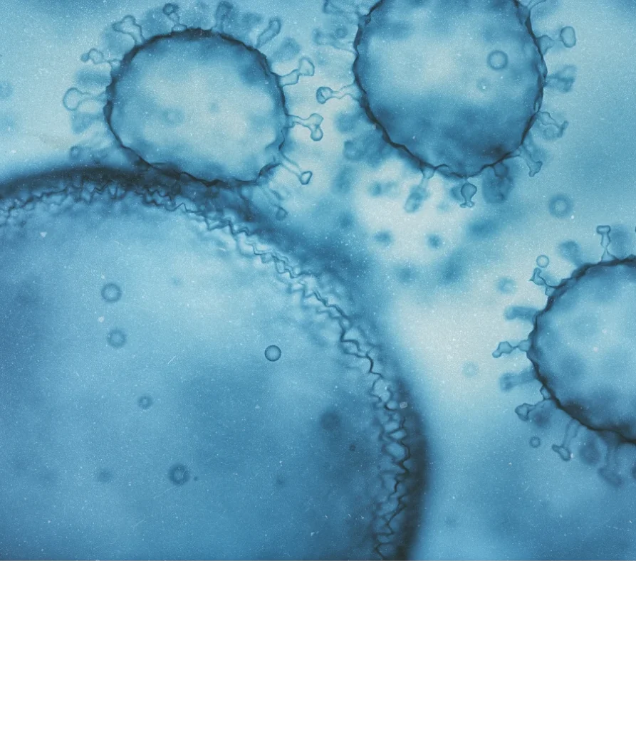 Lentiviral vector particles illustrated as spherical structures with surface proteins for gene delivery applications
