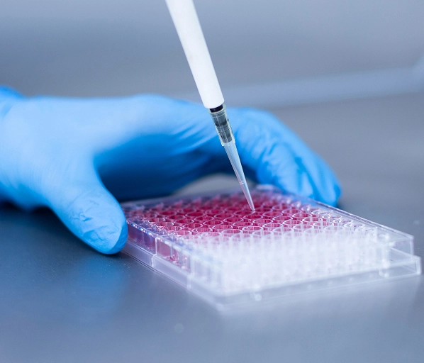 Service 3: Advanced cell analysis and characterization platform for biotech research applications