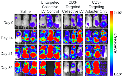 Fail-Safe CD3 Targeting heat map